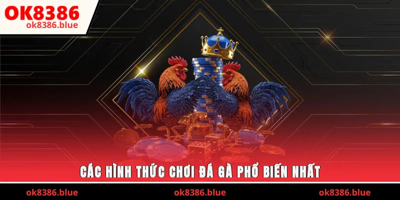 Các hình thức chơi đá gà mới nhất hiện nay
